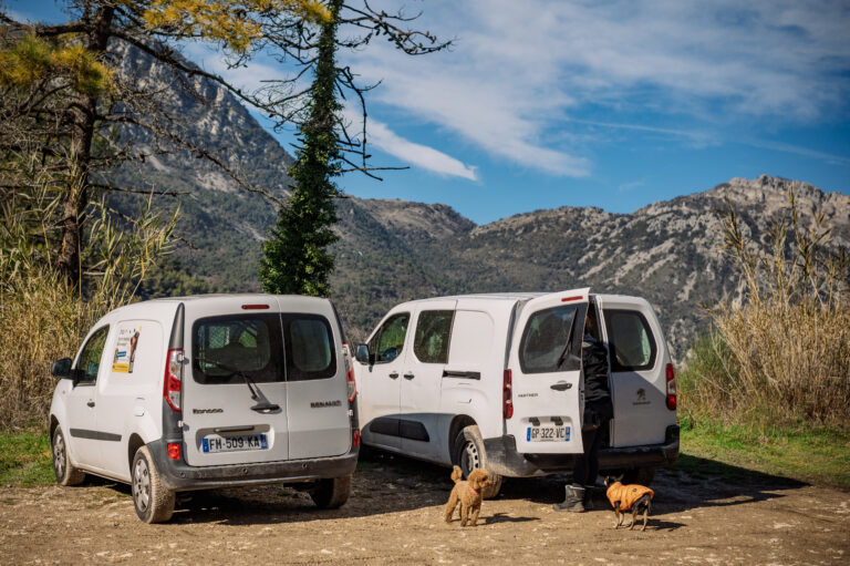 Transport Privé pour Chiens