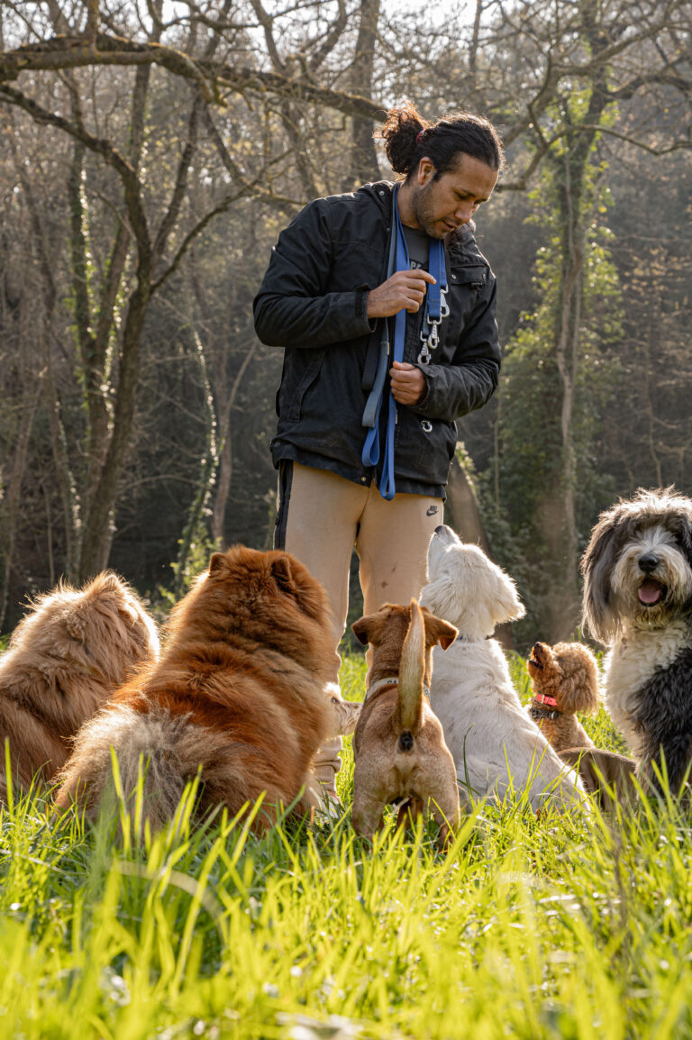 Canine and Feline Nutrition Consultations